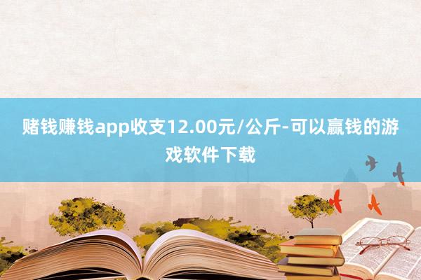 赌钱赚钱app收支12.00元/公斤-可以赢钱的游戏软件下载